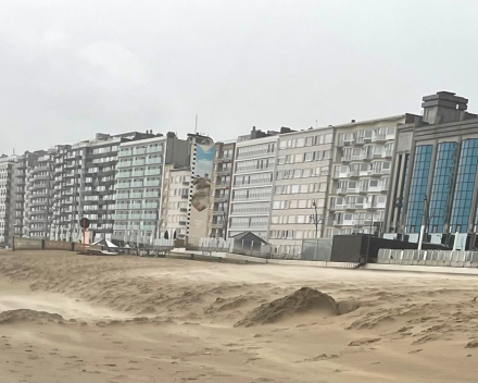 Op het strand de storm getrotseerd