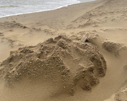 Op het strand de storm getrotseerd