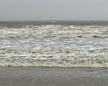 Op het strand de storm getrotseerd