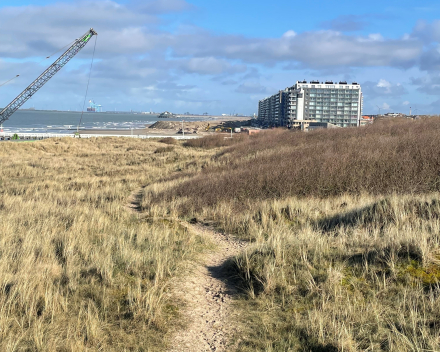 Krokusmodus: een zonnige wandeling