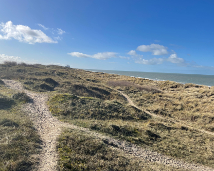 Krokusmodus: een zonnige wandeling