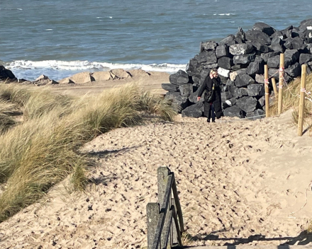 Krokusmodus: een zonnige wandeling