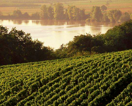 Graves d'Ardonneau in de pers