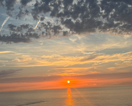 sushi en zonsondergang: ideale combinatie