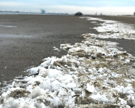 Groeten uit Blankenberge