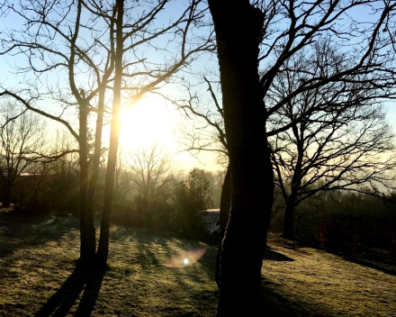 Over slavinken, blinde vinken, winterkoninkjes en meesjes