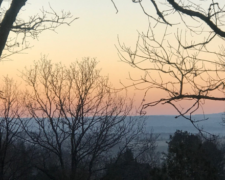 Over slavinken, blinde vinken, winterkoninkjes en meesjes