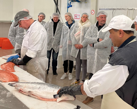 werkbezoek bij zeevisgroothandel andré