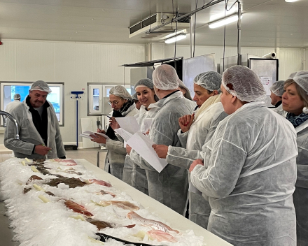 werkbezoek bij zeevisgroothandel andré