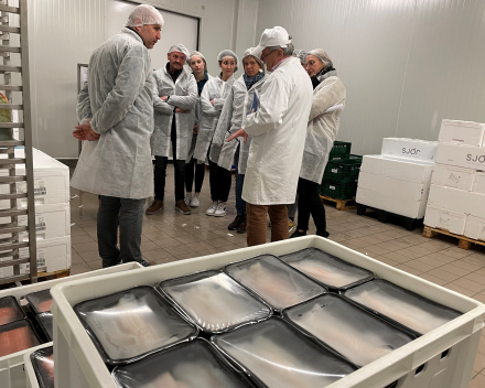 werkbezoek bij zeevisgroothandel andré