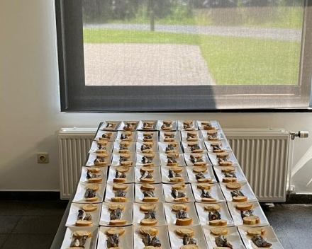 Een mooie afsluiter in Ardooie