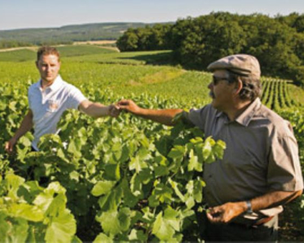 Onze nieuwe champagne: de Carte Blanche van Domaine Furdyna