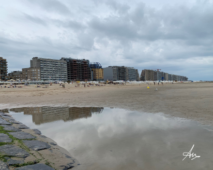 De voorbije week in woord en beeld