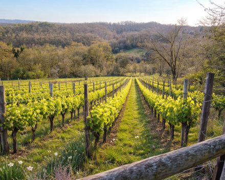Het scheppingsverhaal van Grande Enneille