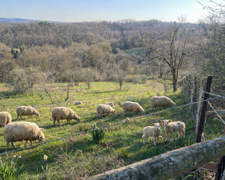 Het scheppingsverhaal van Grande Enneille