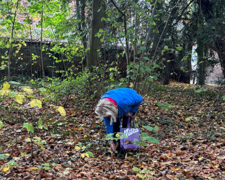 Wandelen in An 'hare nof'