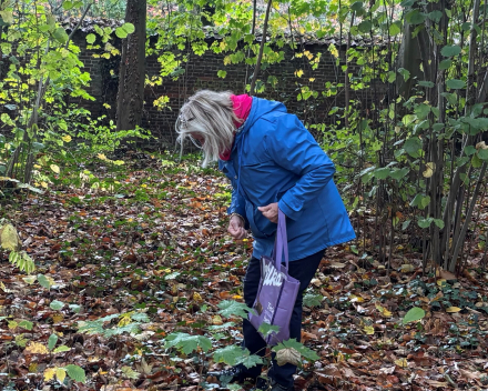 Wandelen in An 'hare nof'