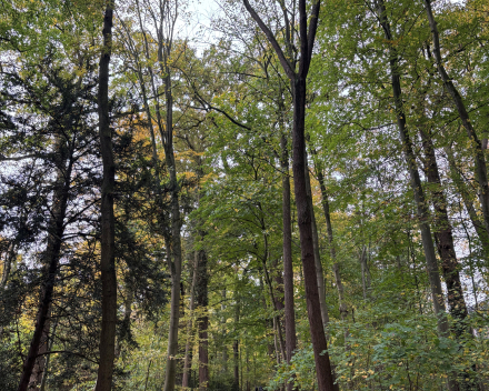 Wandelen in An 'hare nof'