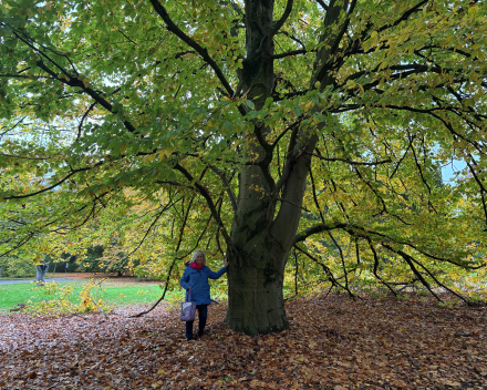 Wandelen in An 'hare nof'