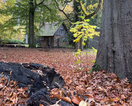 Wandelen in An 'hare nof'