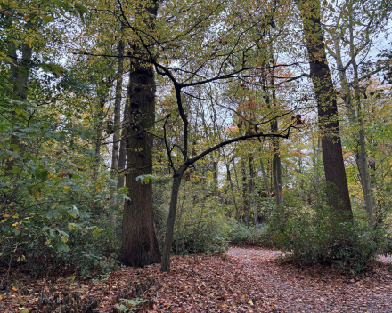 Wandelen in An 'hare nof'
