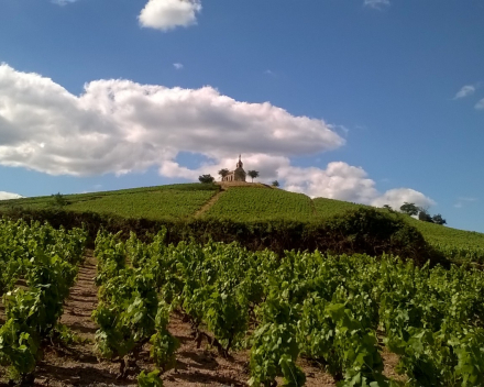 Les Roches Fleurie   Domaine Gilles Coperet  AOP Fleurie 2019  -  € 10.00 btw in