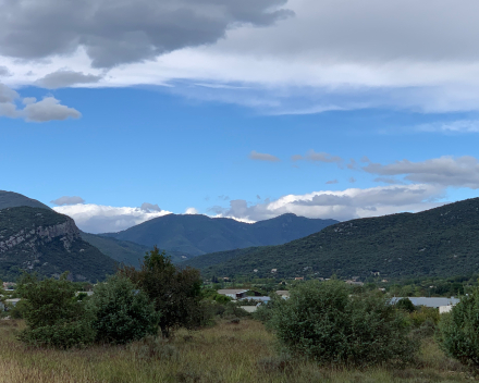 Laatste dagen van onze vakantie 2022 Tarn - Languedoc