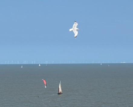 Genieten van het mooie weer en de zee
