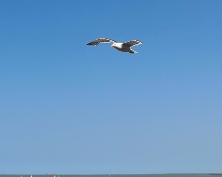 Genieten van het mooie weer en de zee