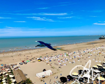 15 augustus aan zee