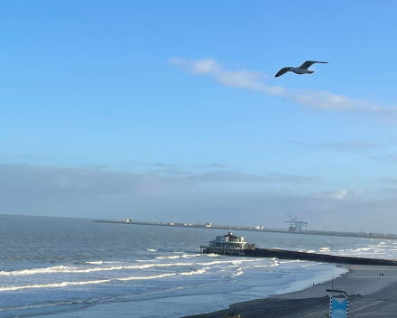 De voorbije week in woord en beeld