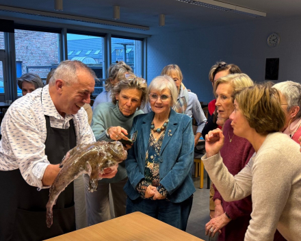 Welkom in Huize Welcome