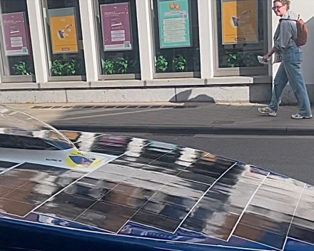 Rare vogel, daar in Leuven !