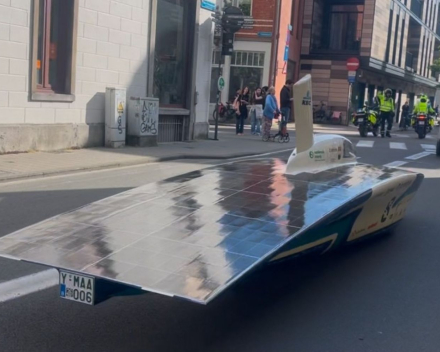 Rare vogel, daar in Leuven !