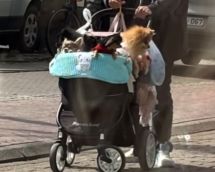 Save sex on the beach (alcohol vrij )