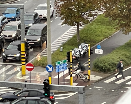 Te nat voor de zwaantjes?