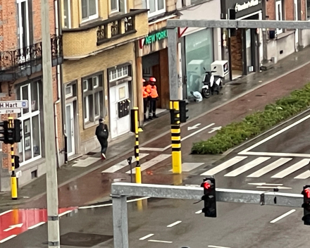 Te nat voor de zwaantjes?