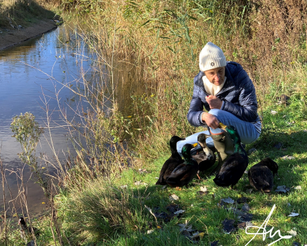 Genieten in het Zwin