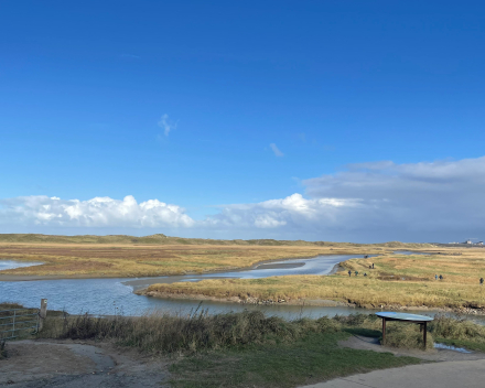 Genieten in het Zwin