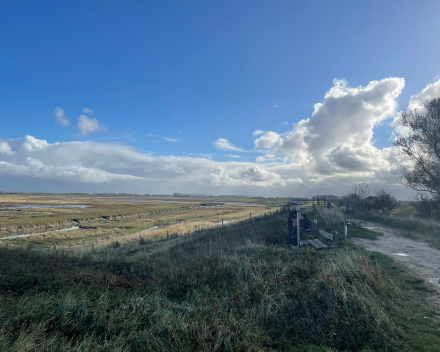 Genieten in het Zwin