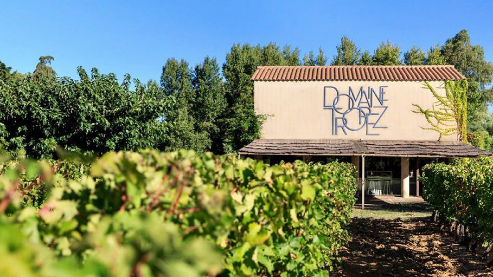 De zomer wordt Crazy met onze Crazy Tropez rosé | Moeyaert