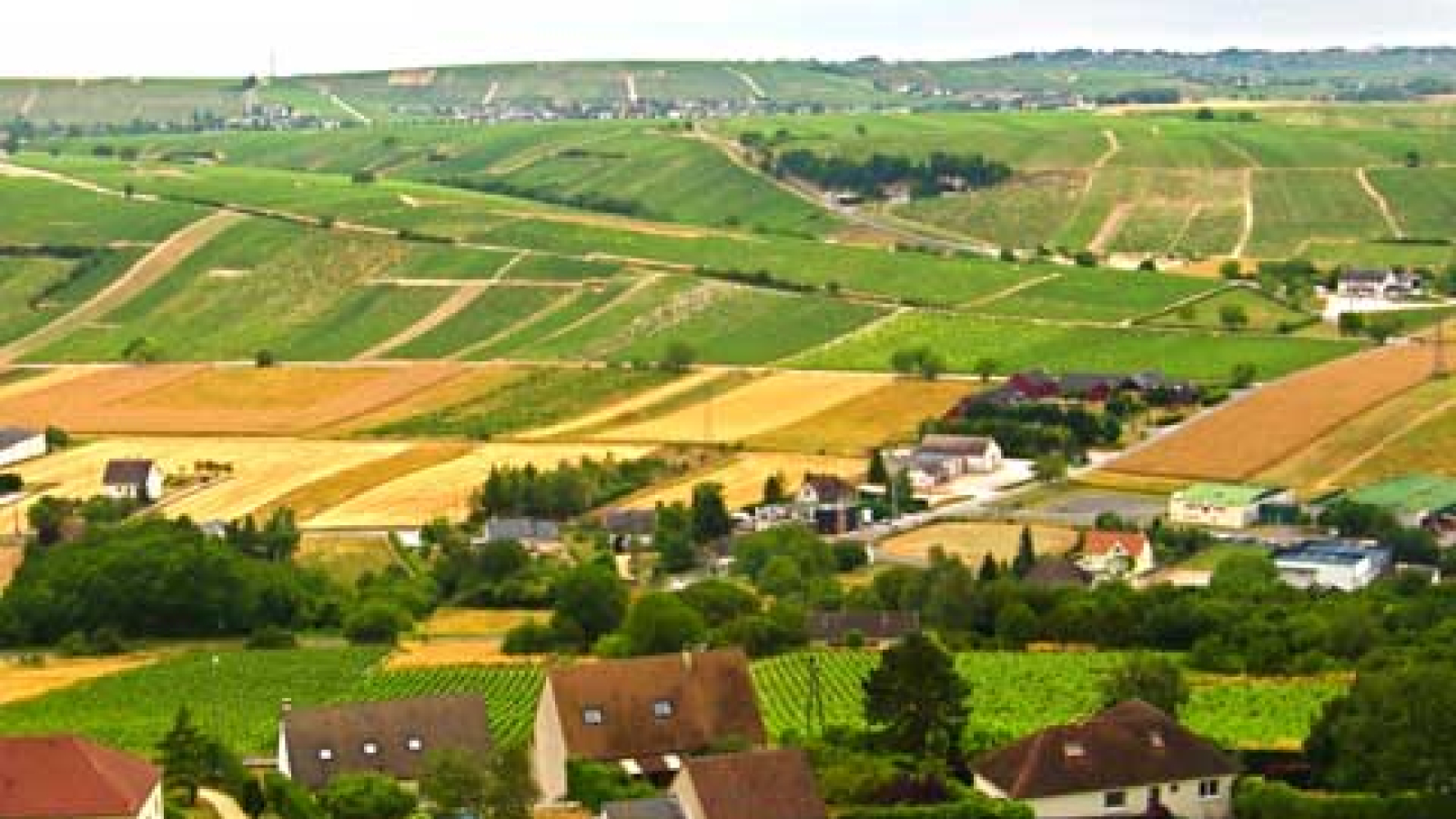 Sancerre Raimbault Les Belles Côtes AOP Sancerre Moeyaert